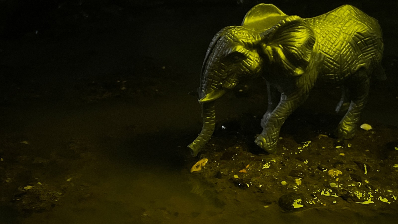 Still Shot 1 Still Shot 1