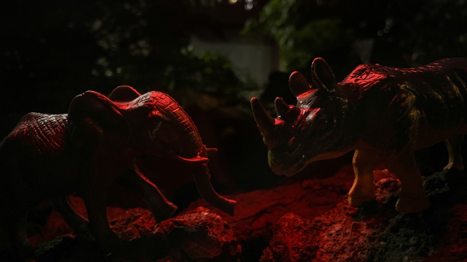 Still Shot 3 Still Shot 3