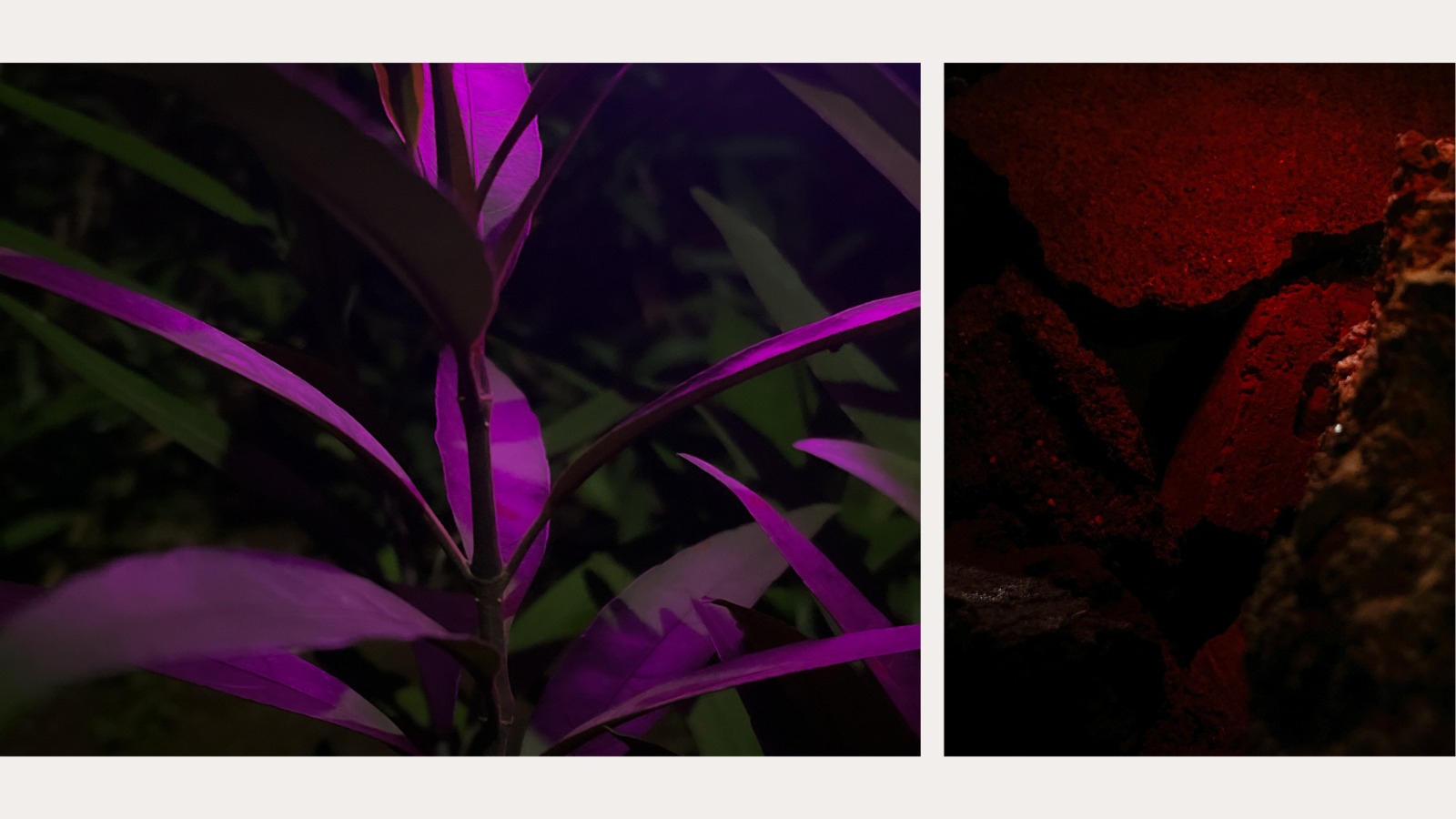 Still Shot 5 Still Shot 5