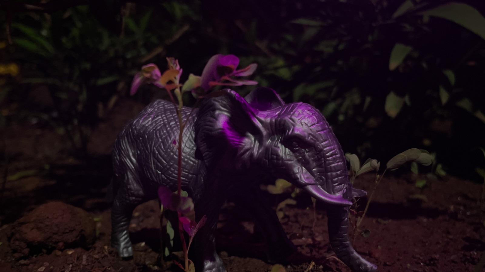 Still Shot 6 Still Shot 6